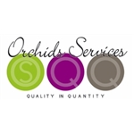 Orchids-Services