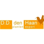 DD-den-Haan-planten-export
