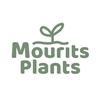 Mourits-Plants