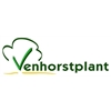 Venhorstplant