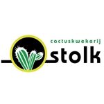 Cactuskwekerij-Stolk