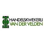 Handelskwekerij-van-der-Velden-BV