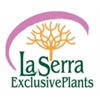 La-Serra-ExclusivePlants