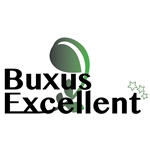 Buxus-Excellent-BV