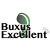 Buxus-Excellent-BV