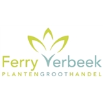 Plantengroothandel-Ferry-Verbeek