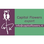 Capitol-Flowers