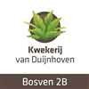 Kwekerij-Van-Duijnhoven-BV