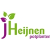 J-Heijnen-Potplanten