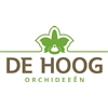 De-Hoog-Orchideeën