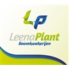 Leena-Plant-Boomkwekerijen-BV