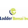 Lodder-Bonsai