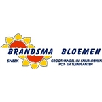 Bloemengroothandel-Brandsma
