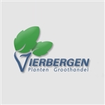 Vierbergen-Plantennl