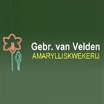 Gebr-van-Velden