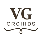 VG-Orchids