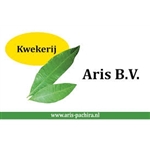 Aris-BV
