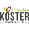 Stauden-Koster