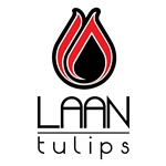 Laan-Tulips