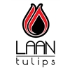 Laan-Tulips