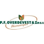 PF-Overdevest-Bloemenexport-BV