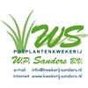 Potplantenkwekerij-WP-Sanders