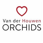 Van-der-Houwen-Orchideeen