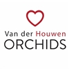 Van-der-Houwen-Orchideeen