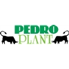 Pedroplant