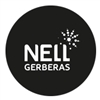 Nell-Gerberas