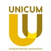 Unicum-Freesia