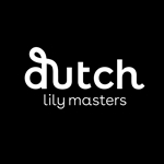 Dutch-lily-masters