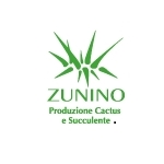 Zunino-Luca