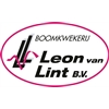 Boomkwekerij-Leon-van-Lint-BV