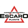 Handelskwekerij-Escaro