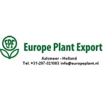 Europe-Plant-Export