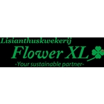 Flower-XL