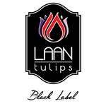 Black-Label-Laan-Tulips