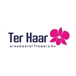 Ter-Haar-Ornamental-Flowers-BV