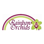 Rainbow-Orchids