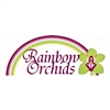 Rainbow-Orchids