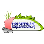 Ron-Steenland