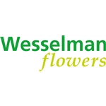 Wesselman-Flowers