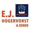 EJ-Hogervorst-en-zonen---Multiflora-Hyacint