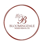 Bloomingdale-Roses