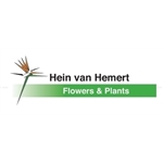 H-van-Hemert-Flowers