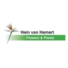 H-van-Hemert-Flowers